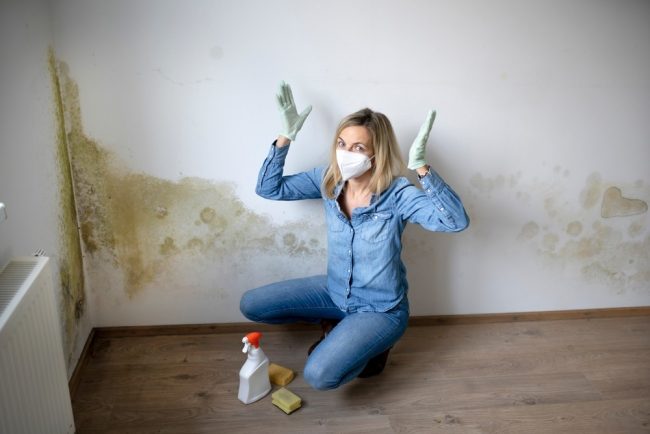 Water Damage Restoration Company In Lakewood, Co